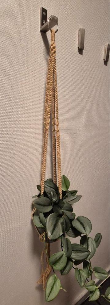 jutte hanger voor planten 2x beschikbaar voor biedingen