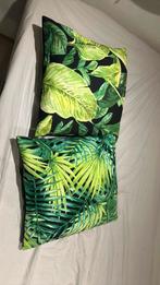 Cousin, Enlèvement, Comme neuf