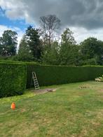 Tuinman, Tuin en Terras, Overige Tuin en Terras, Ophalen of Verzenden