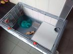 Hamster kooi L93cm/H48/B55, Dieren en Toebehoren, Kooi, Gebruikt, Hamster, 75 tot 110 cm