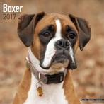 Boxer-kalender 2017, Ophalen of Verzenden, Jaarkalender, Nieuw