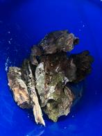 Stenen voor aquarium, Dieren en Toebehoren