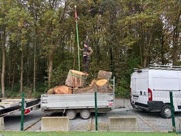 Brandhout beschikbaar voor biedingen