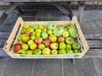APPELEN - eigen kweek, Ophalen