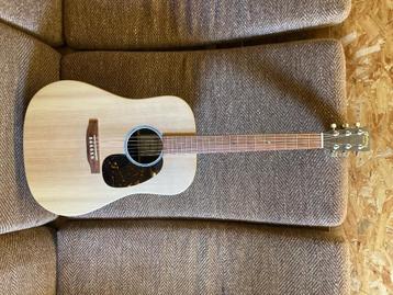 Martin DX2e beschikbaar voor biedingen