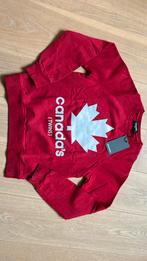 Nieuwe trui Dsquared maat 12, Trui of Vest, Dsquared, Nieuw, Ophalen of Verzenden