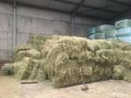 kleine balen hooi te koop