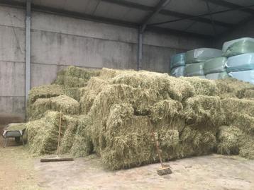kleine balen hooi te koop beschikbaar voor biedingen