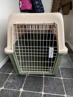 Grande cage transport pour chien Ferplast, Animaux & Accessoires, Utilisé