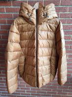 Winterjas dames Esprit XL met kap, Kleding | Dames, Ophalen, Zo goed als nieuw