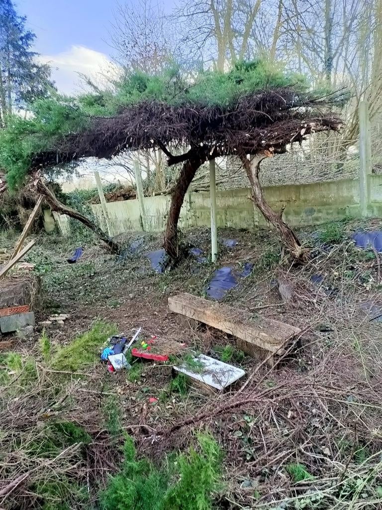 Bonjour je suis jardinier, Haie