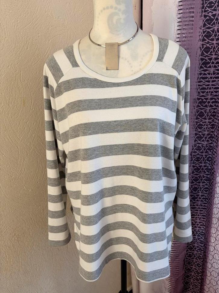 Zara - Witte en grijze sweater/T-shirt met lange mouwen, Kleding | Dames, Truien en Vesten, Zo goed als nieuw, Wit, Ophalen of Verzenden