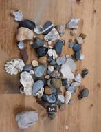 STENEN EN SCHELPEN ZUID-AFRIKA 2018, Ophalen of Verzenden, Schelp(en)