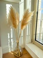 Pampas droogbloemen in vaas, Huis en Inrichting, Woonaccessoires | Droogbloemen, Ophalen, Nieuw