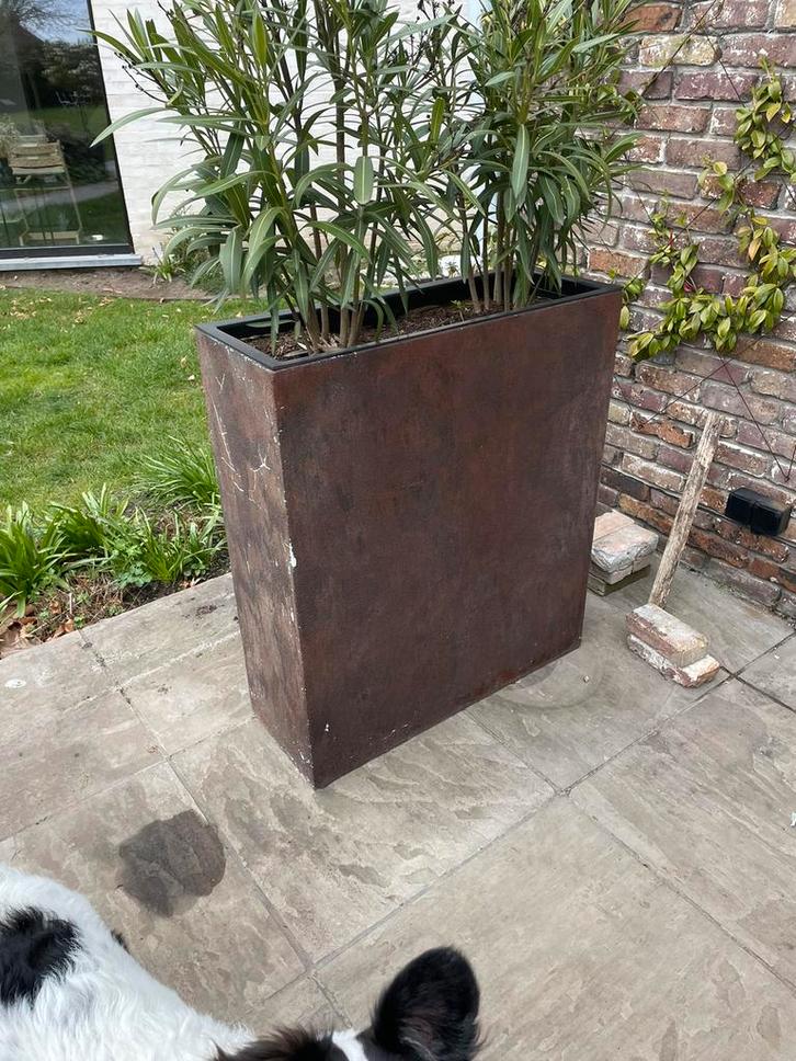 Set 6 zeer stevige bloembakken, Tuin en Terras, Bloembakken en Plantenbakken, Gebruikt, Metaal, 60 cm of meer, 60 tot 100 cm, Ophalen