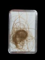 Superbe poil de mammouth de Sibérie (Russie), Enlèvement ou Envoi, Fossile