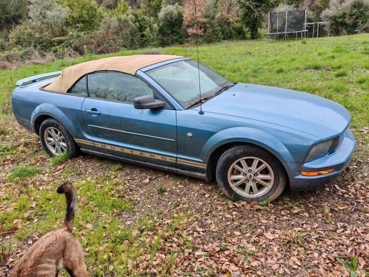 Mustang, Auto's, Ford USA, Particulier, Mustang, Benzine, Cabriolet, Automaat
