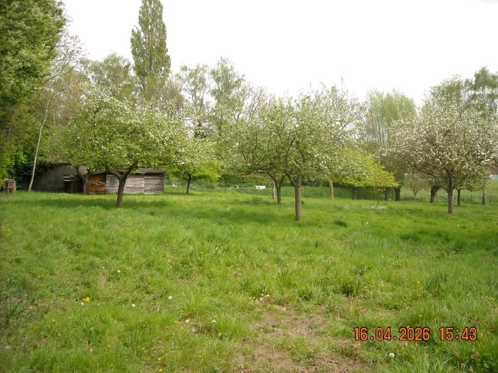 Weide gratis gebruik, Dieren en Toebehoren, Stalling en Weidegang, Weidegang, 2 of 3 paarden of pony's