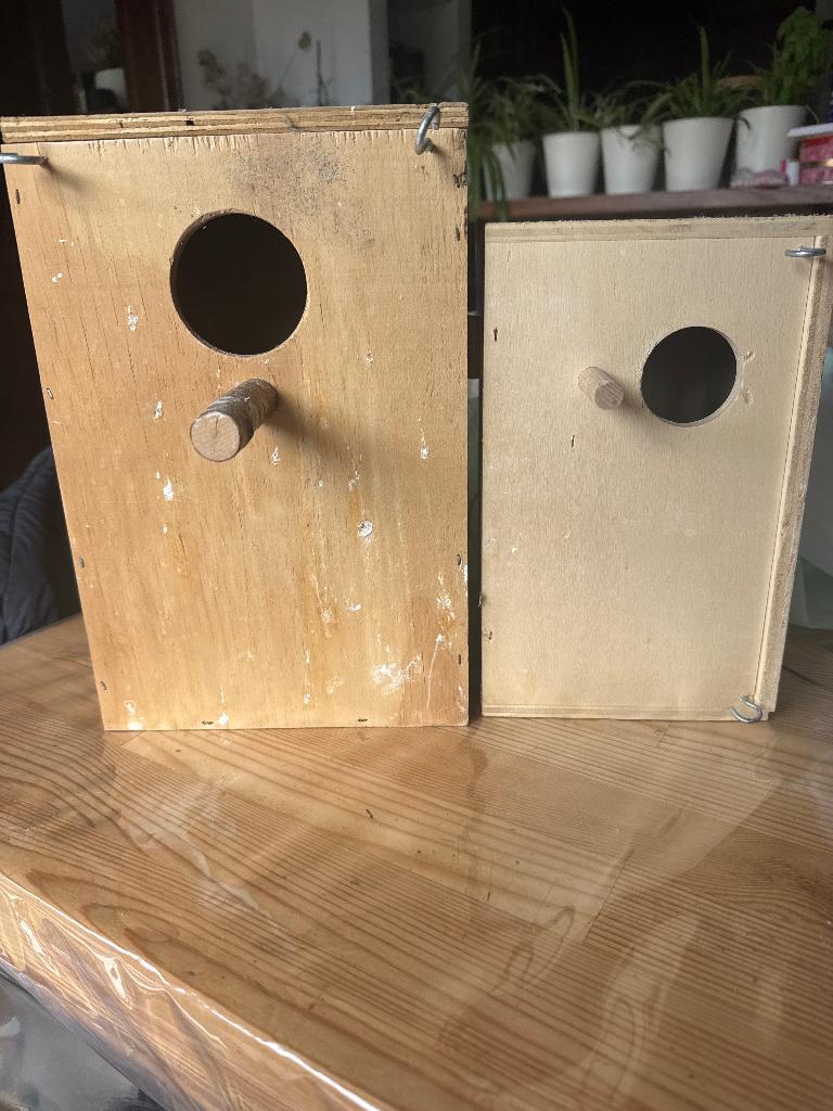 Maison oiseaux, Plusieurs animaux, Perroquet nain ou Inséparable