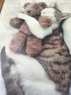 Vintage kunstposter "The Cat's Pet"-Letizia Volpi, Ophalen