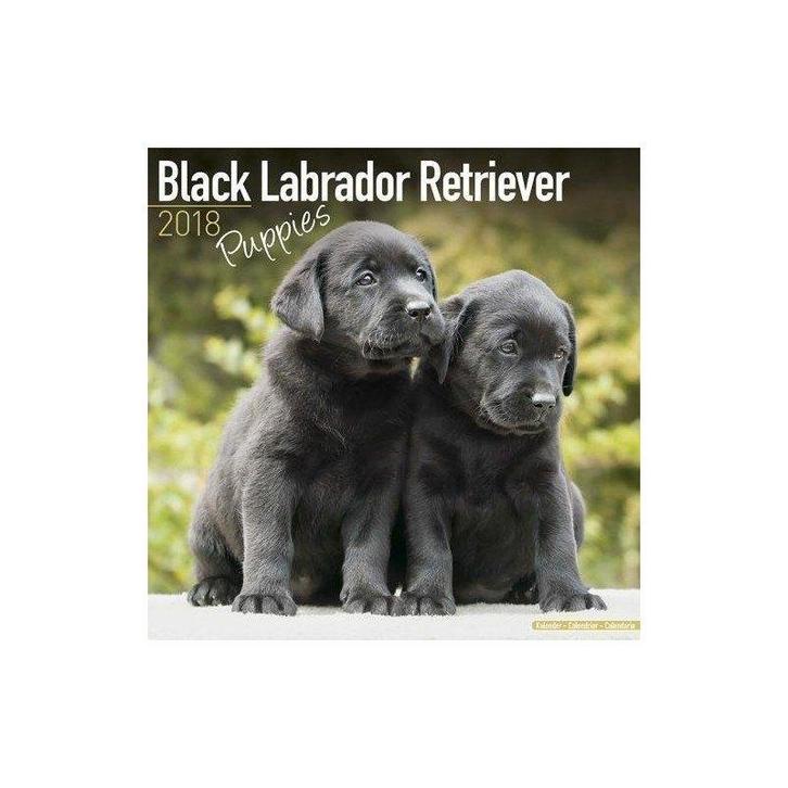 Calendrier Chiot Labrador Noir 2018, Divers, Calendriers, Neuf, Calendrier annuel, Enlèvement ou Envoi