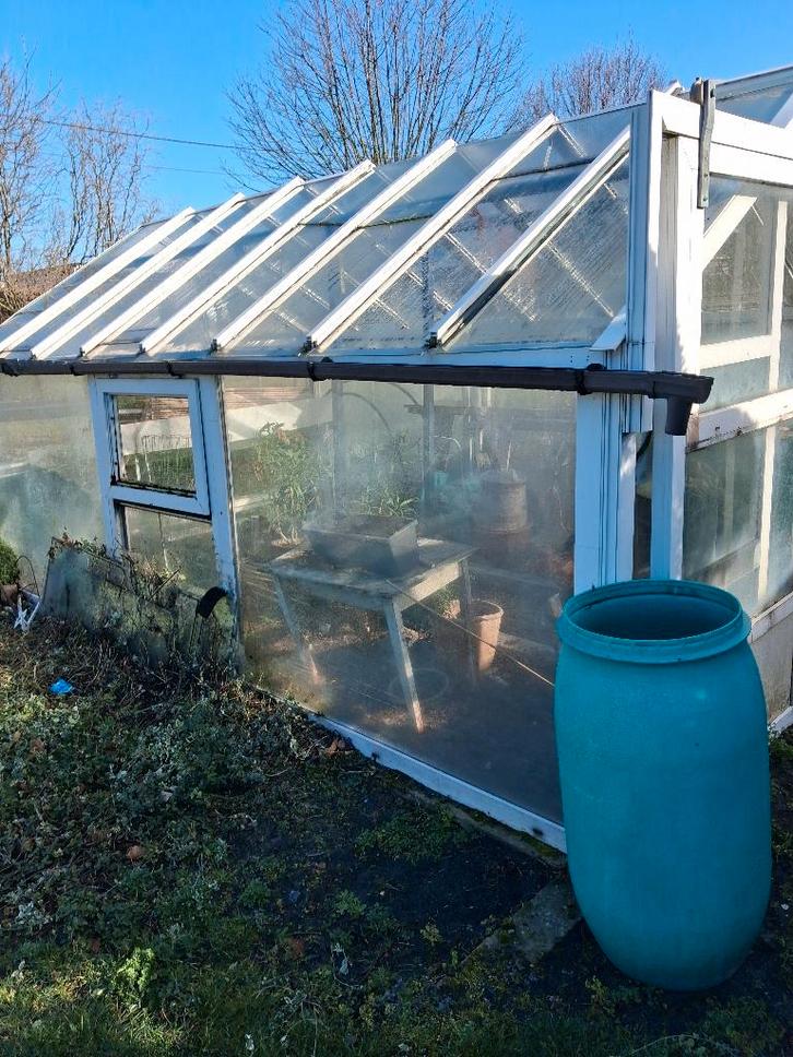 Serre, Jardin & Terrasse, Serres, Utilisé, Verre, Enlèvement