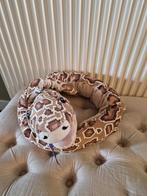 Slang ikea knuffel, Ophalen