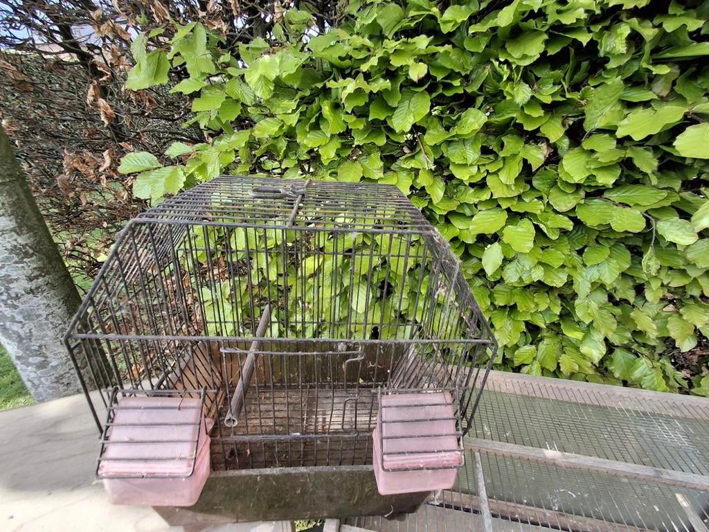 Vogel kooi, Ophalen, Zo goed als nieuw, Metaal, Vogelkooi