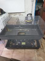 Dubbele kooi, Enlèvement, Cage