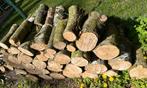 berk blokken + oregon balken + 12 paletten, Enlèvement