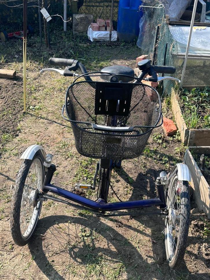 TRICYCLE TRIKE ADULTE, Vélos & Vélomoteurs, Vélos | Tricycles, Comme neuf, Enlèvement