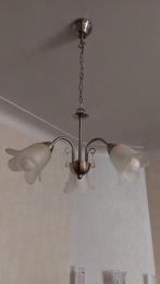 Lustres, Enlèvement