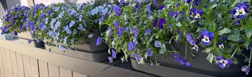 3 BLOEMBAKKEN VAN ELHO, Tuin en Terras, Bloembakken en Plantenbakken, Zo goed als nieuw, Kunststof, Minder dan 30 cm, 60 tot 100 cm