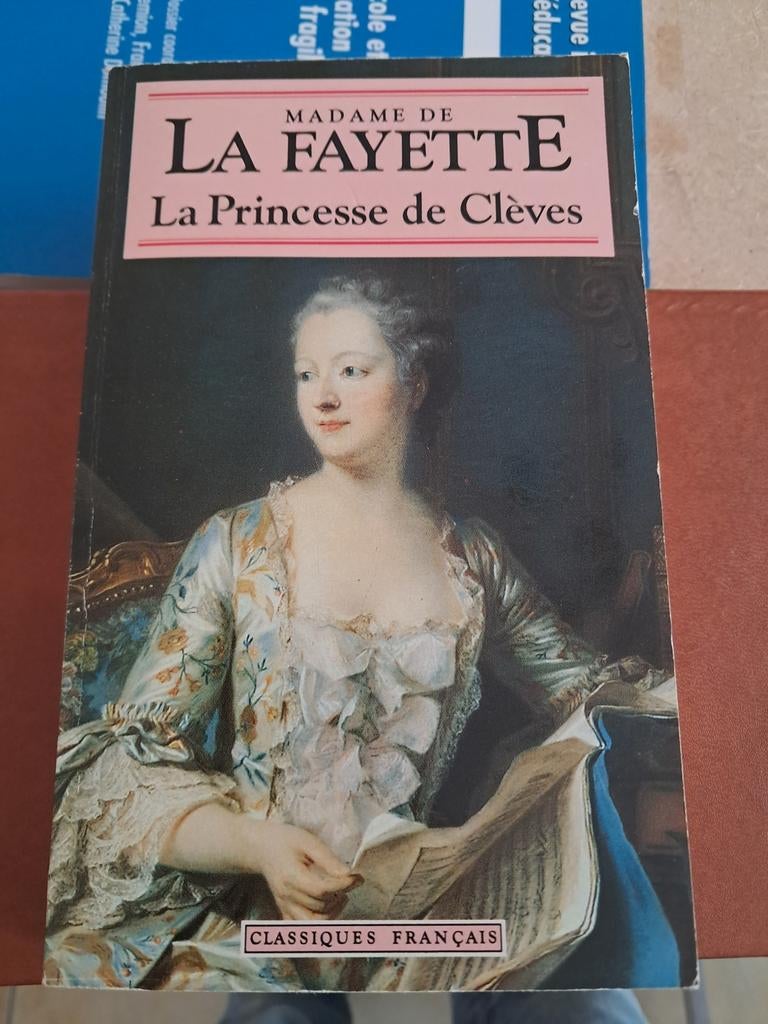 Madame de la fayette, Livres, Romans historiques, Enlèvement ou Envoi