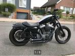 Harley Davidson XL1200 Nightster, Motoren, Motoren | Harley-Davidson, 2 cilinders, Chopper, Particulier, 1200 cc