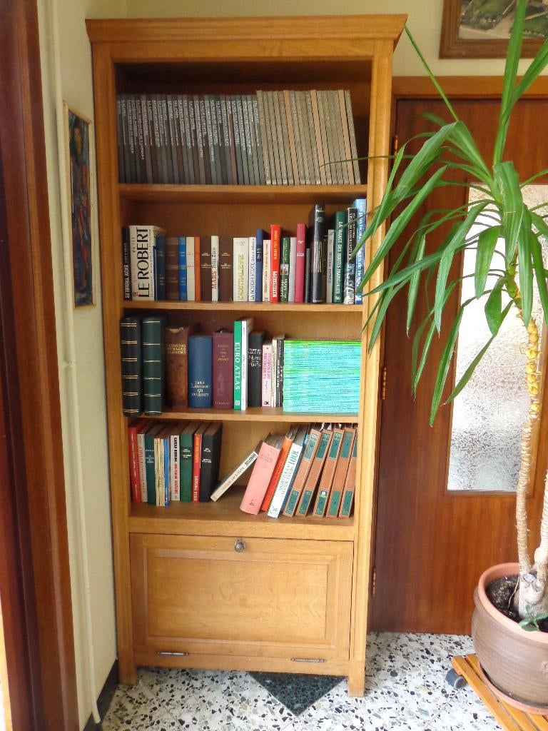 Bibliothèque en chêne:  4 étagères et 1 espace de rangement., Maison & Meubles, Accessoires pour la Maison | Étagères murales & Rayons de bibliothèque