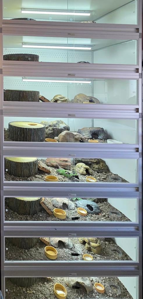 Groot aantal terrariums aan een koopje, Animaux & Accessoires, Enlèvement ou Envoi, Utilisé, Terrarium ou Paludarium