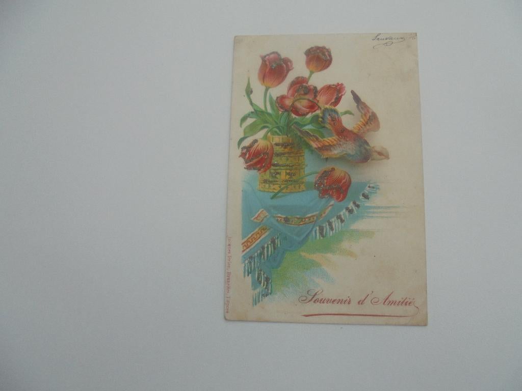 vogels- 10 postkaarten, Verzamelen, Postkaarten | Dieren, Verzenden, 1920 tot 1940, Gelopen, Vogel