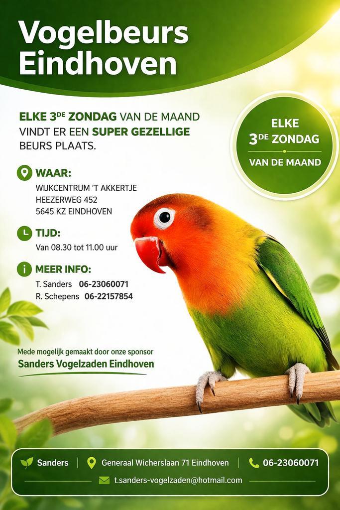 As zondag vogelbeurs Eindhoven, Animaux & Accessoires, Oiseaux | Canaris