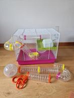 Cage pour hamster avec accessoires, Animaux & Accessoires, Enlèvement, Cage, Hamster