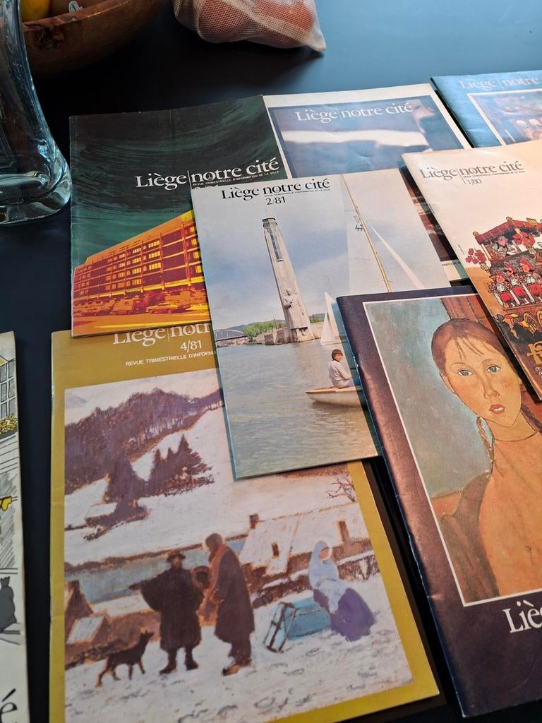 Collection de 14 revues LIEGE NOTRE CITÉ,  de 1979 à 87., Enlèvement ou Envoi