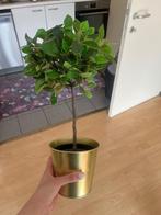 Plante artificielle et pot doré, Enlèvement ou Envoi