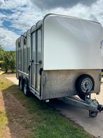 4 paards trailer ifor Williams te koop zeer goed onderhouden, Ophalen, Zo goed als nieuw