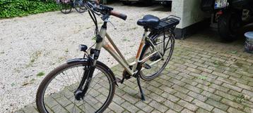 Elektrische fiets van het merk devron 