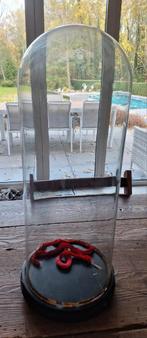 grande cloche en verre antique, Enlèvement, Utilisé