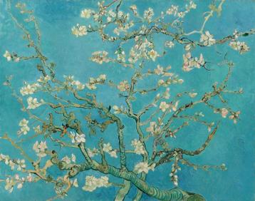 Prachtige replica's van Van Gogh op canvas beschikbaar voor biedingen