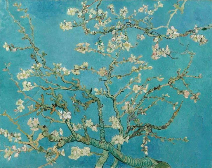 Prachtige replica's van Van Gogh op canvas, Antiek en Kunst, Kunst | Schilderijen | Klassiek, Verzenden