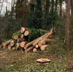 Den Brandhout - Lange stammen, kan kleiner (vragen!), Tuin en Terras, Brandhout, 6 m³ of meer, Ophalen of Verzenden, Overige houtsoorten