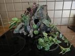 Aquarium decoratie, Ophalen, Gebruikt, Sierelement