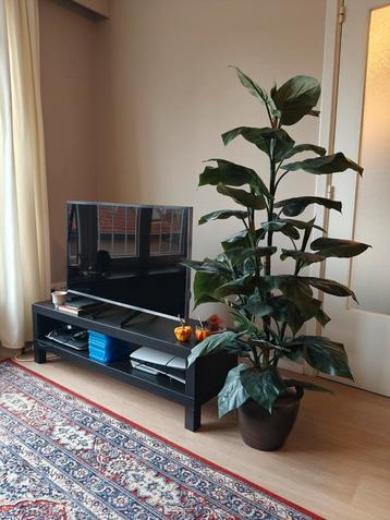 Kunstplanten: Ficus, Monstera & Hedera + 2 antraciete potten beschikbaar voor biedingen